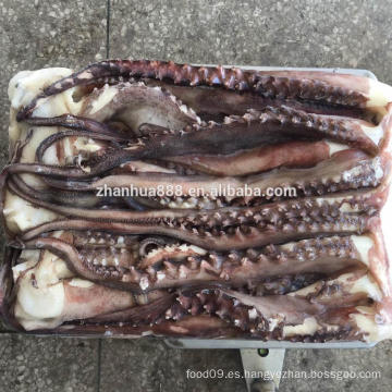 Bigote de tentáculo bien recortado de calamar BQF